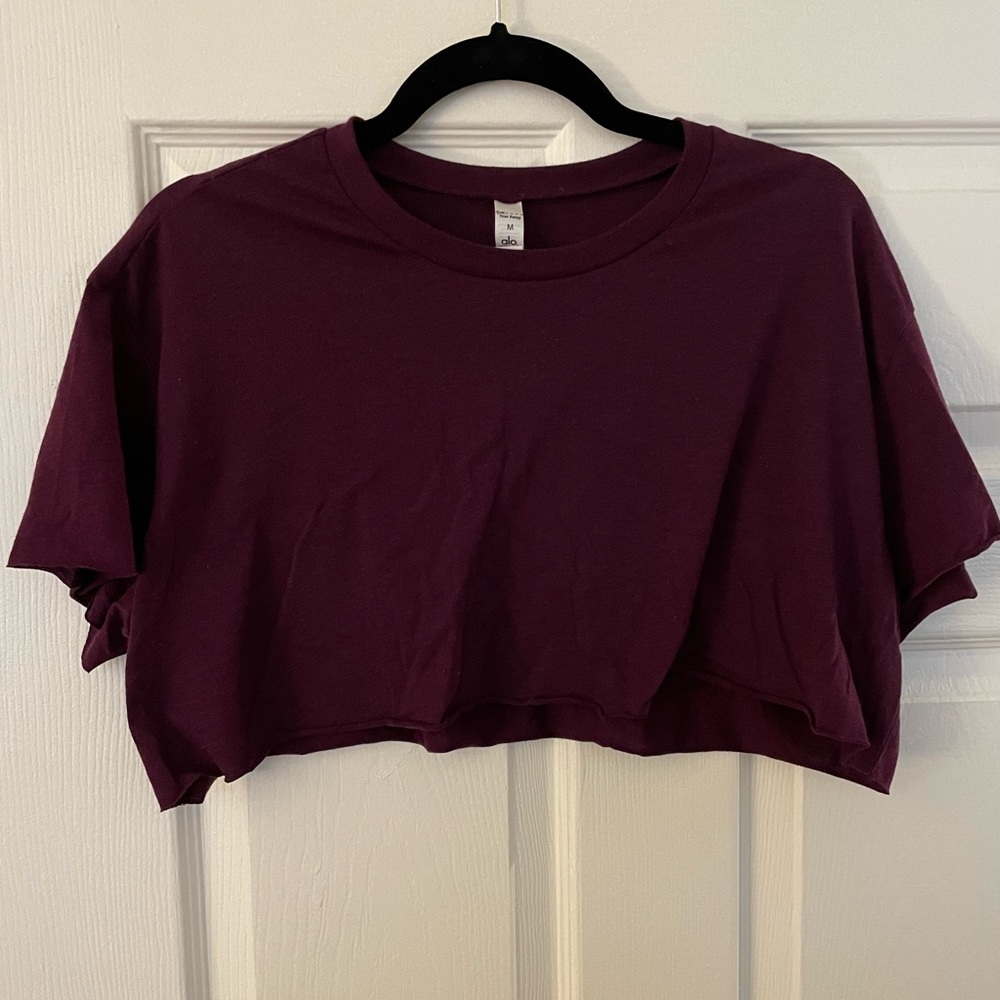 Alo Yoga Cropped Short Sleeve Top